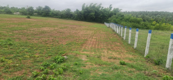 38 Cent Agricultural/Farm Land for Sale in Kinathukadavu, Coimbatore