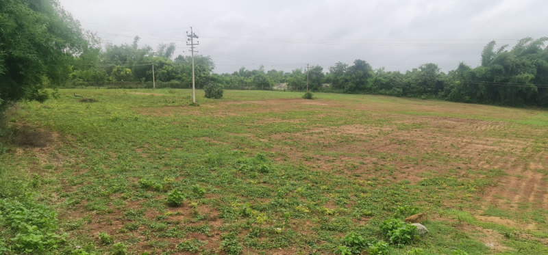 62 Cent Agricultural/Farm Land for Sale in Kinathukadavu, Coimbatore