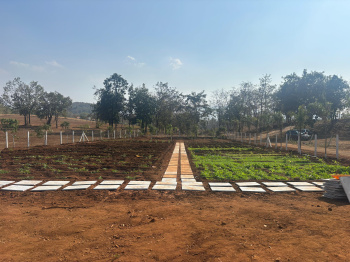 Residential Plot for Sale in Takave, Raigad (21786 Sq.ft.)