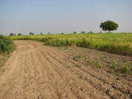 Industrial Land / Plot for Sale in Bharuch (5500 Sq. Meter)