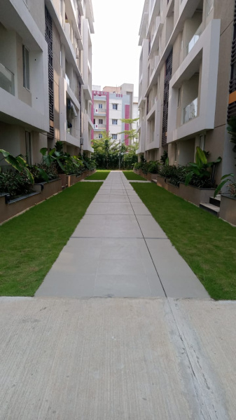 3 BHK Flats & Apartments for Sale in P. M. Palem, Visakhapatnam (1640 Sq.ft.)