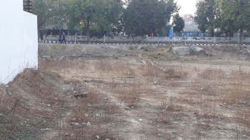 Residential Plot For Sale In Sector 13, Bahadurgarh (263 Sq. Yards)