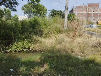 Residential Plot For Sale In Sector 14, Bahadurgarh (277 Sq. Yards)