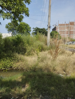 Property for sale in Sector 14 Bahadurgarh