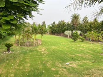 Farmhouse in sohna westin with gated @ 9650 ,810560
