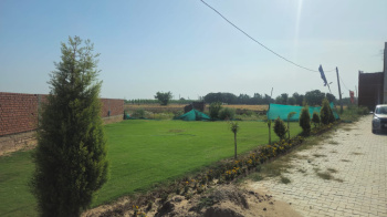 100 Sq.ft. Residential Plot for Sale in Kharar Kurali Road Kharar Kurali Road, Mohali