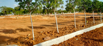 7 Dismil Residential Plot for Sale in Kuruda, Baleswar