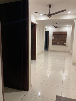 3 BHK Builder Floor for Rent in Palam, Delhi (100 Sq. Yards)