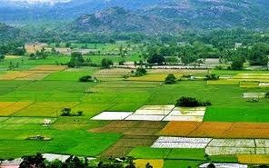 Property for sale in Sector 124 Mohali