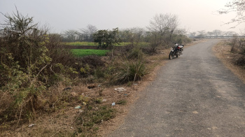 2500 Sq. Yards Agricultural/Farm Land for Sale in Govardhan, Mathura