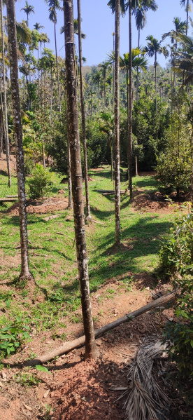 Agricultural/Farm Land For Sale In Agali, Palakkad (3 Acre)