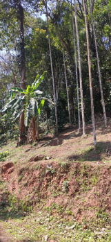 Property for sale in Agali, Palakkad
