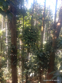 61 Cent Agricultural/Farm Land for Sale in Udayampalayam, Coimbatore
