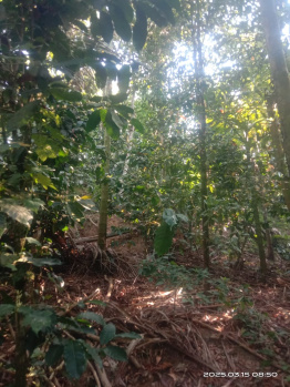 Property for sale in Udayampalayam, Coimbatore