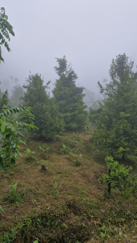 Property for sale in Anaikatti, Coimbatore