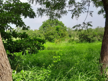 1 Acre Residential Plot for Sale in Saravanampatti, Coimbatore