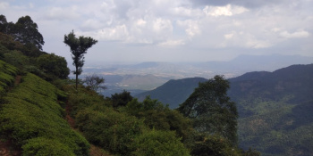 11 Acre Agricultural/Farm Land for Sale in Attapadi, Palakkad