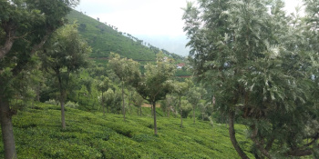 Property for sale in Attapadi, Palakkad