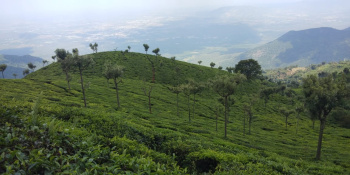 Property for sale in Attapadi, Palakkad