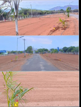 1 Cent Residential Plot for Sale in Thanakkankulam, Madurai
