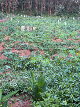 Property for sale in Mannarkkad, Palakkad