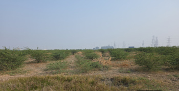 Invest in Industrial Zone, Nr. Activation Area,  Dholera SIR, Ahmedabad, Gujarat