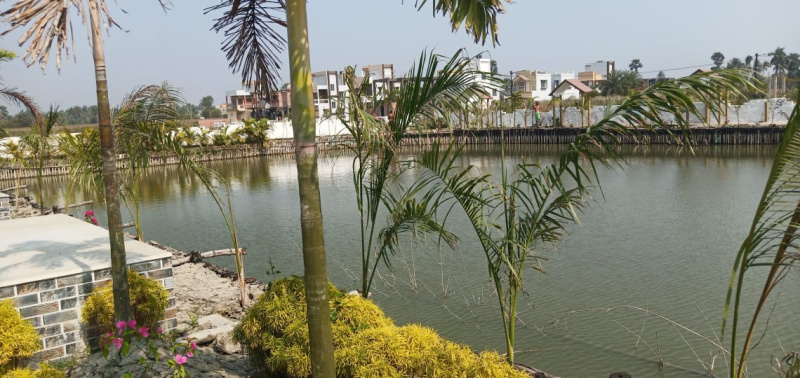 READY TO MOVE PLOT SELL ON D H ROAD