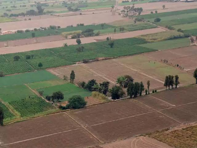 4 Ares Agricultural/Farm Land for Sale in NH 8, Dharuhera
