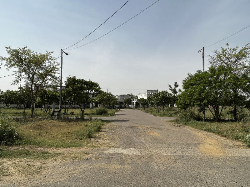 240 Sq. Yards Residential Plot for Sale in Dharuhera, Rewari