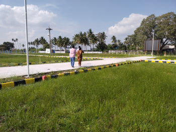 Residential Plot for Sale in Arani, Thiruvallur (1200 Sq.ft.)