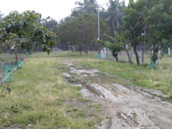 Property for sale in Thirunagar, Chennai