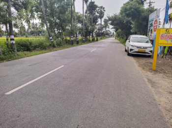 Residential Plot for Sale in Ochery, Kanchipuram (1200 Sq.ft.)