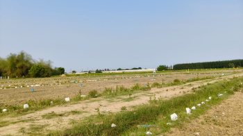 Residential Plot for Sale in Ikkadu, Thiruvallur (1200 Sq.ft.)