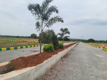 Farm land for sale At Zaheerabad