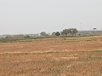 Agricultural/Farm Land for Sale in Sohna Palwal Road Sohna Palwal Road, Gurgaon (75 Acre)