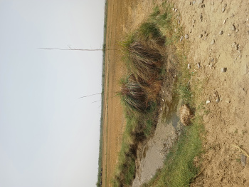 Property for sale in Sohna Palwal Road, Gurgaon