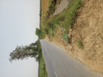 Agricultural/Farm Land for Sale in Sohna Palwal Road Sohna Palwal Road, Gurgaon (100 Acre)