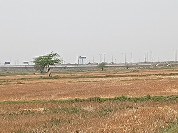 Agricultural/Farm Land for Sale in Sohna Palwal Road Sohna Palwal Road, Gurgaon (25 Acre)