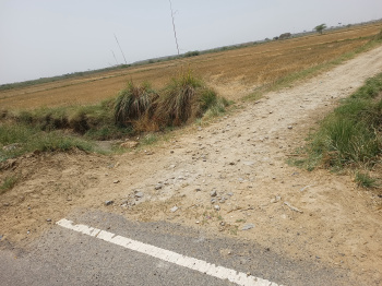 Agricultural/Farm Land for Sale in Sohna Palwal Road Sohna Palwal Road, Gurgaon (2 Acre)