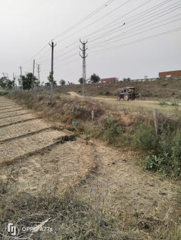 Agricultural/Farm Land for Sale in Taoru, Gurgaon (2 Acre)