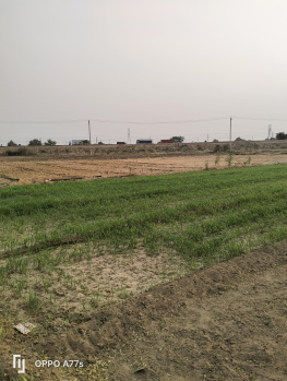 Residential Plot for Sale in Sector 49, Gurgaon (60 Sq. Yards)