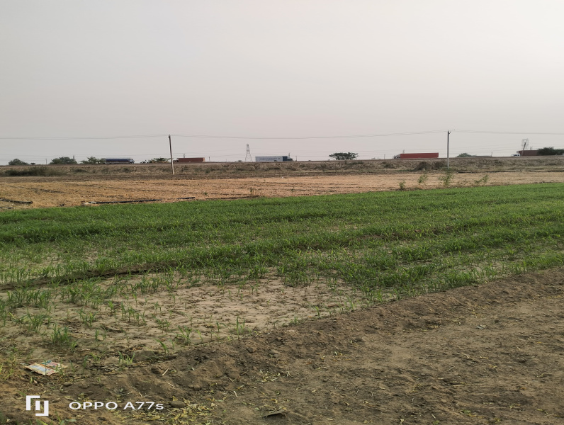 Agricultural/Farm Land for Sale in Loharu, Bhiwani (30 Acre)