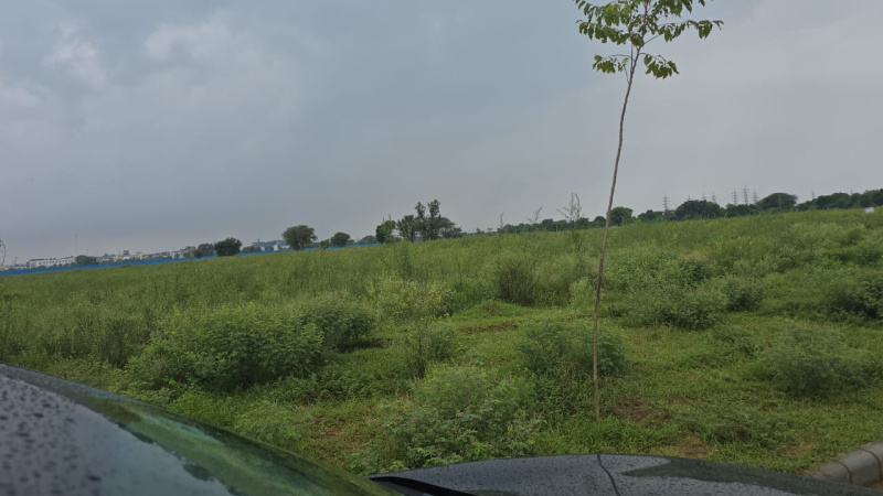 Agricultural/Farm Land for Sale in Loharu, Bhiwani (20 Acre)