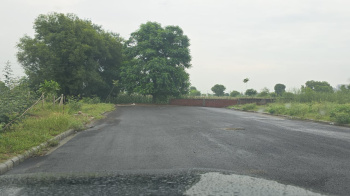 Property for sale in Loharu, Bhiwani