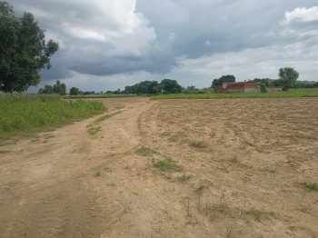 Property for sale in Loharu, Bhiwani