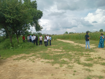 Property for sale in Badli, Jhajjar