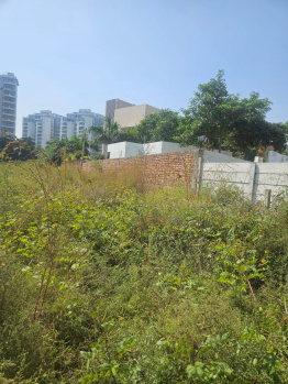Agricultural/Farm Land for Sale in Beri, Jhajjar (17 Acre)