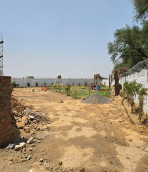 Agricultural/Farm Land for Sale in Badshahpur, Gurgaon (2 Acre)