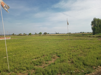 Agricultural/Farm Land for Sale in Sohna, Gurgaon (200 Marla)