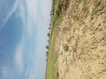 Agricultural/Farm Land for Sale in Sohna, Gurgaon (1.625 Acre)